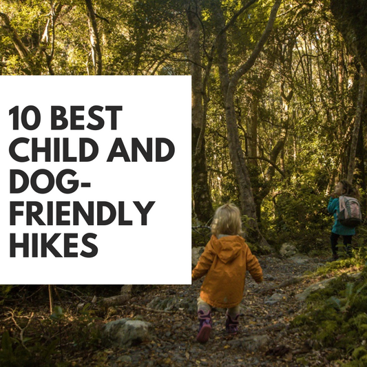 The 10 BEST Overnight Hikes that are BOTH Child-Friendly AND Dog-Friendly!