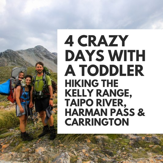 Four Crazy Days with a Toddler Hiking Kelly Range / Taipo / Harman Pass