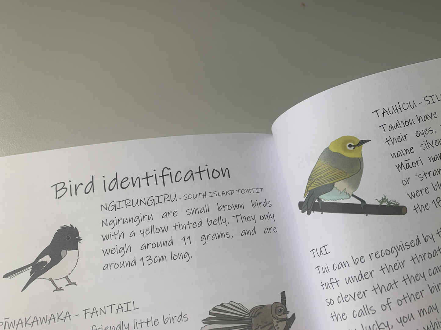My Overnight Adventure Journal - Te Waipounamu South Island