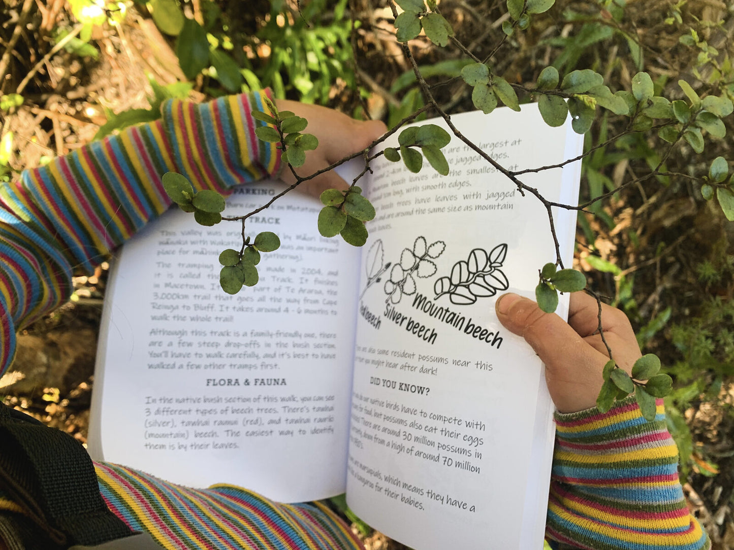how can i get my kids excited about tramping in nz